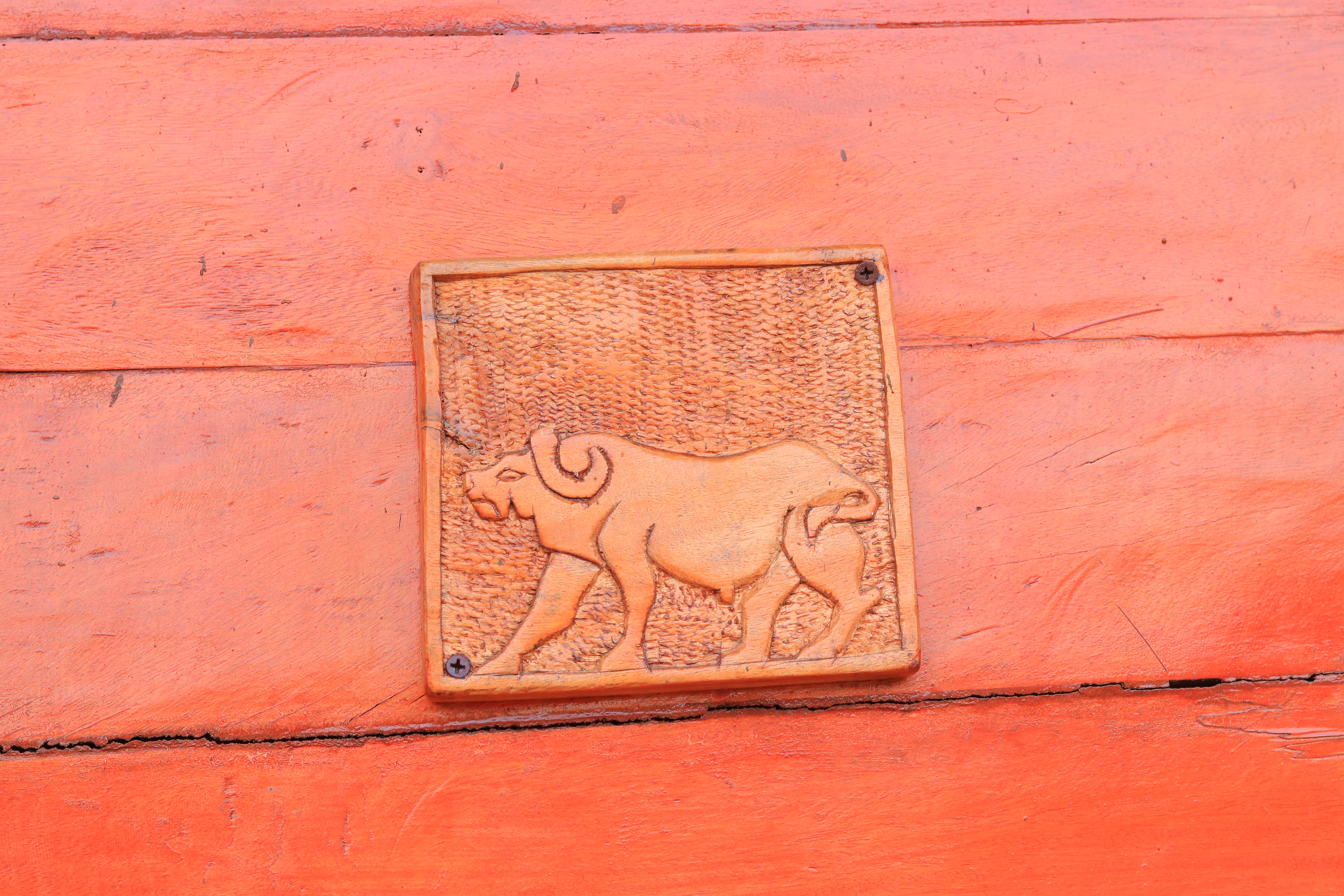 Buffalo
